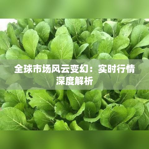 全球市场风云变幻：实时行情深度解析
