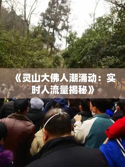 《灵山大佛人潮涌动：实时人流量揭秘》