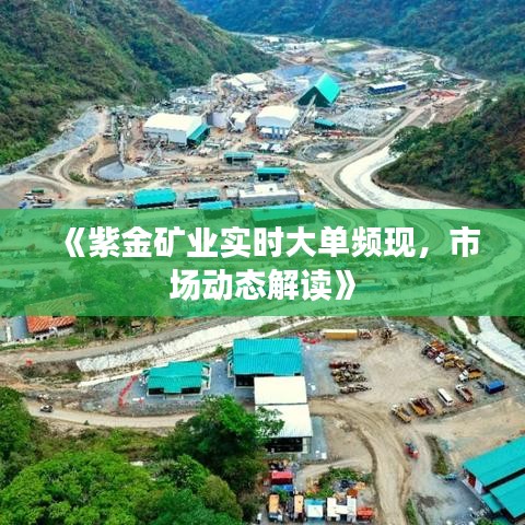 《紫金矿业实时大单频现，市场动态解读》