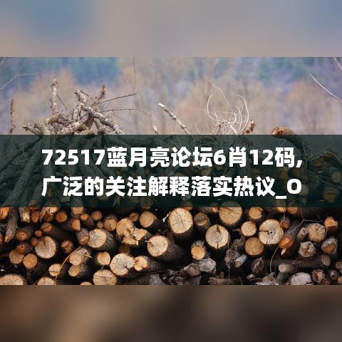 72517蓝月亮论坛6肖12码,广泛的关注解释落实热议_OP5.364