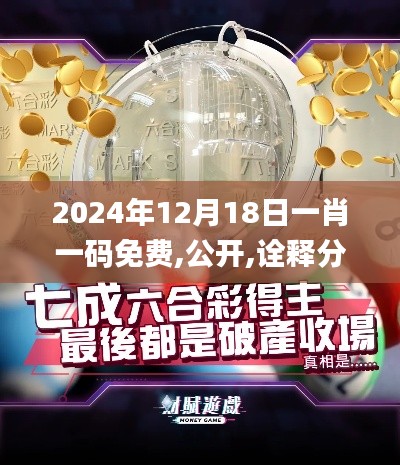 2024年12月18日一肖一码免费,公开,诠释分析解析_工具版10.711