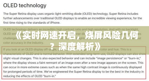《实时网速开启，烧屏风险几何？深度解析》