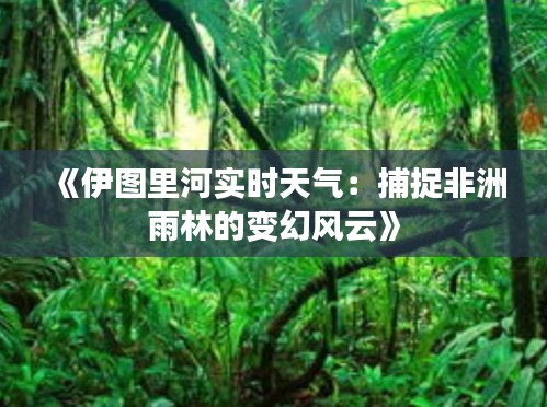 《伊图里河实时天气：捕捉非洲雨林的变幻风云》