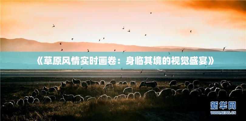 《草原风情实时画卷：身临其境的视觉盛宴》