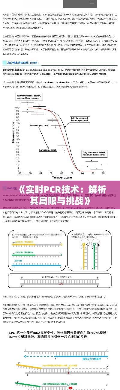 《实时PCR技术：解析其局限与挑战》