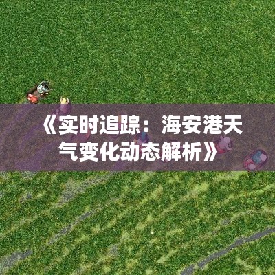 《实时追踪：海安港天气变化动态解析》