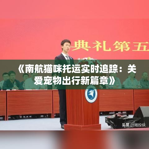 《南航猫咪托运实时追踪：关爱宠物出行新篇章》