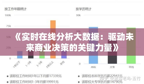 《实时在线分析大数据：驱动未来商业决策的关键力量》