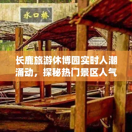 长鹿旅游休博园实时人潮涌动，探秘热门景区人气密码