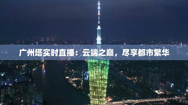 革新变旧 第2页