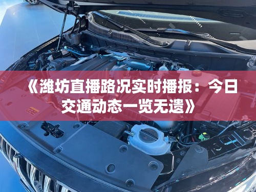 《潍坊直播路况实时播报：今日交通动态一览无遗》
