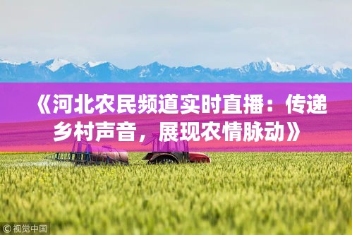 《河北农民频道实时直播：传递乡村声音，展现农情脉动》