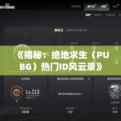 《揭秘：绝地求生（PUBG）热门ID风云录》