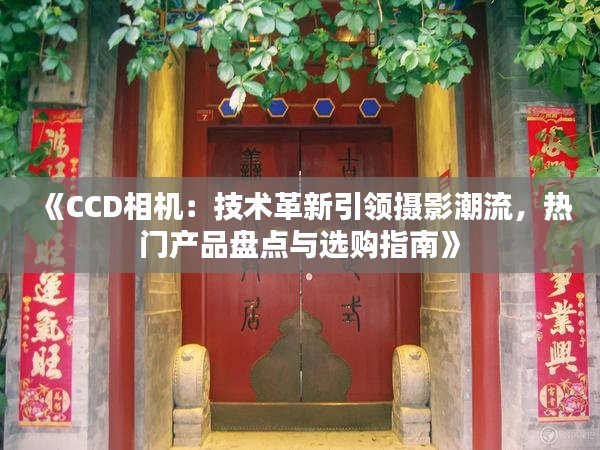 《CCD相机：技术革新引领摄影潮流，热门产品盘点与选购指南》