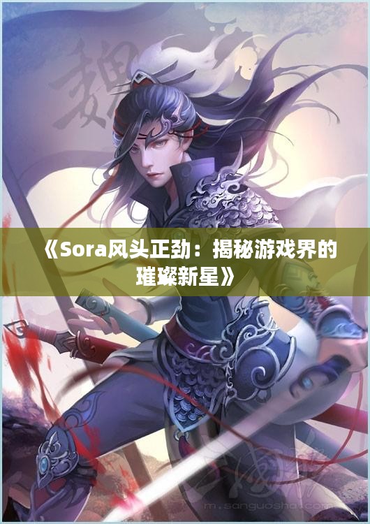 《Sora风头正劲：揭秘游戏界的璀璨新星》