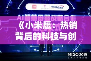 《小米鹰：热销背后的科技与创新》