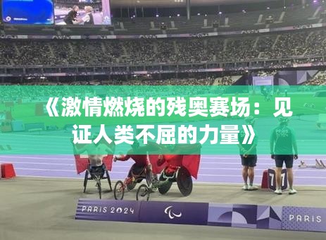 《激情燃烧的残奥赛场：见证人类不屈的力量》