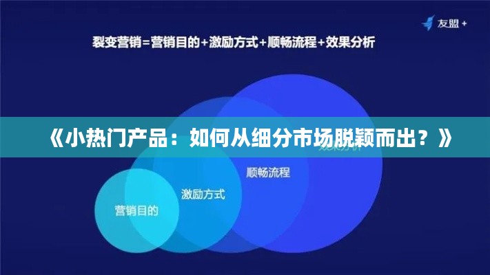《小热门产品：如何从细分市场脱颖而出？》