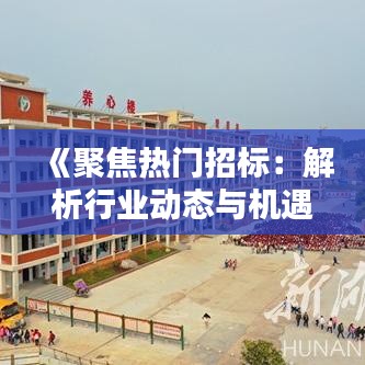 《聚焦热门招标：解析行业动态与机遇》