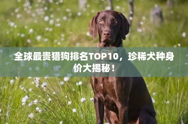 临危不惧 第3页