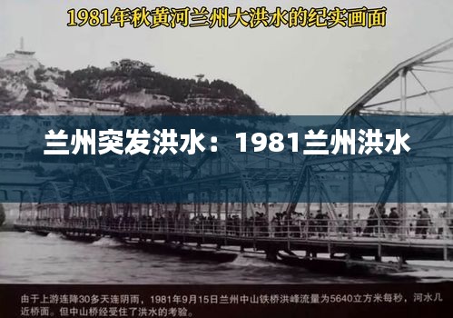 真独简贵 第2页