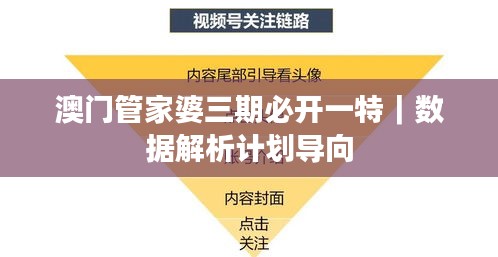 澳门管家婆三期必开一特｜数据解析计划导向