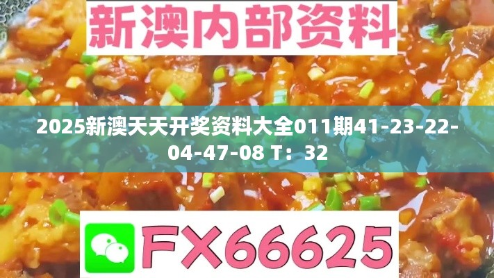 2025新澳天天开奖资料大全011期41-23-22-04-47-08 T：32