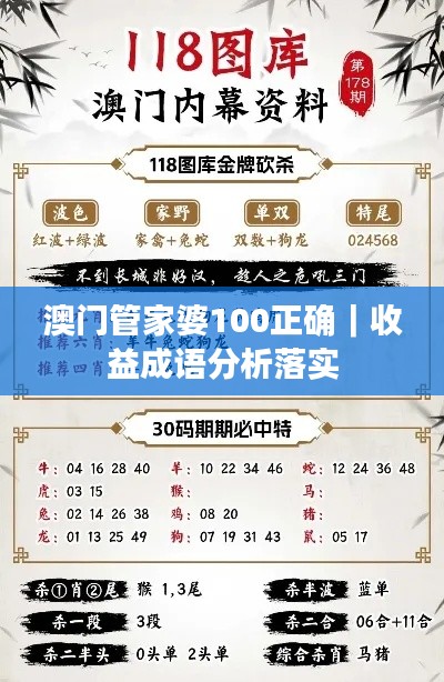 澳门管家婆100正确｜收益成语分析落实