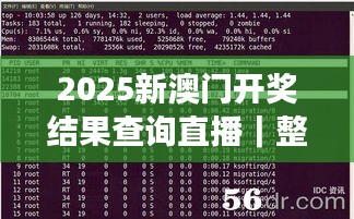 2025新澳门开奖结果查询直播｜整体执行讲解