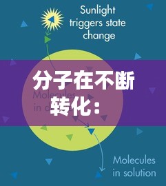 分子在不断转化： 