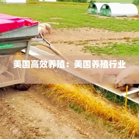 雪中送炭 第2页