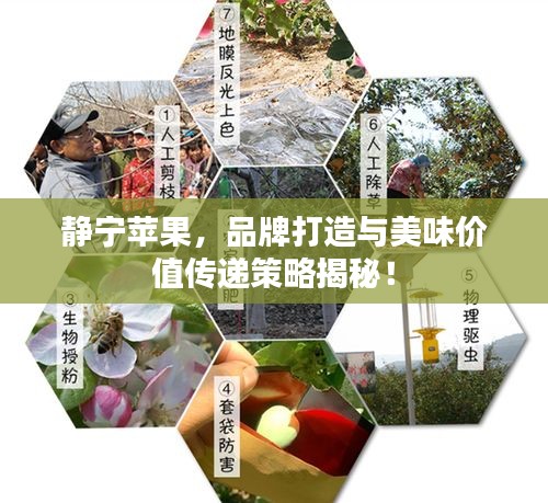 粗制滥造 第2页