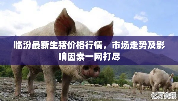 笼鸟槛猿 第2页