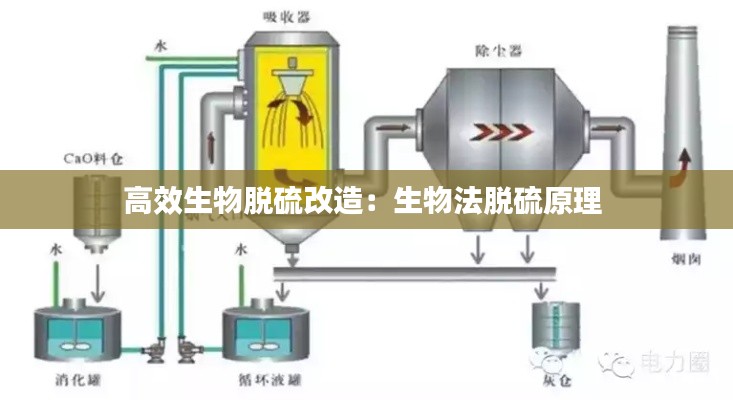 高效生物脱硫改造：生物法脱硫原理 