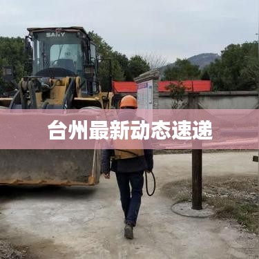 台州最新动态速递