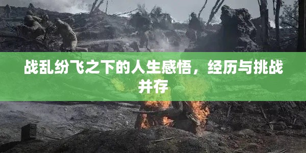 战乱纷飞之下的人生感悟，经历与挑战并存