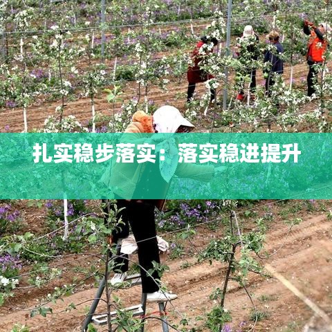 删繁就简 第2页
