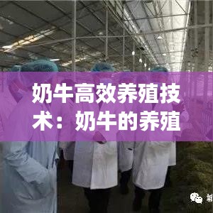 生张熟魏 第2页