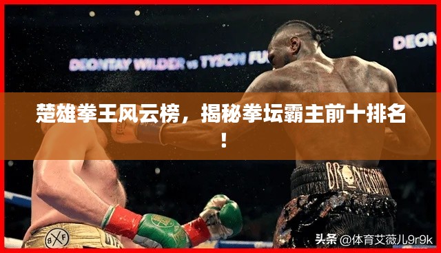 楚雄拳王风云榜，揭秘拳坛霸主前十排名！