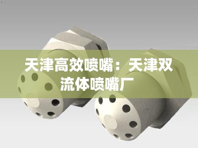 天津高效喷嘴：天津双流体喷嘴厂 