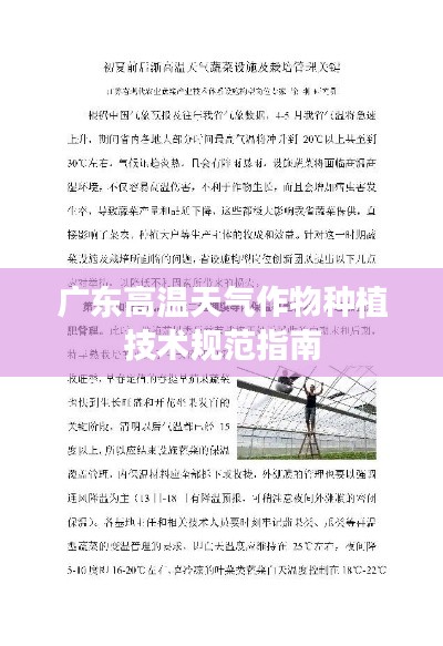 广东高温天气作物种植技术规范指南