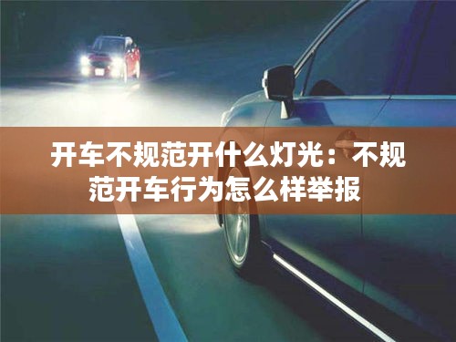 集腋成裘 第2页