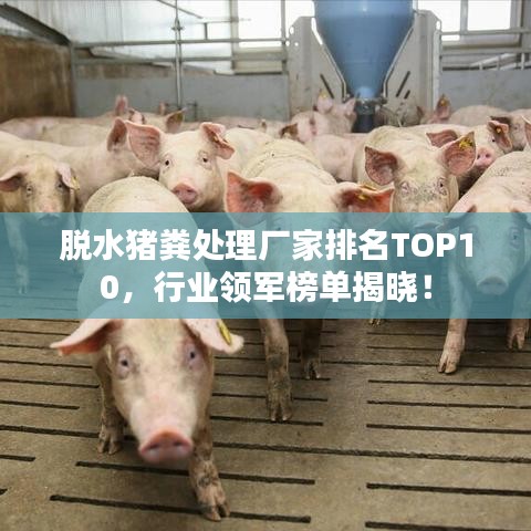脱水猪粪处理厂家排名TOP10，行业领军榜单揭晓！