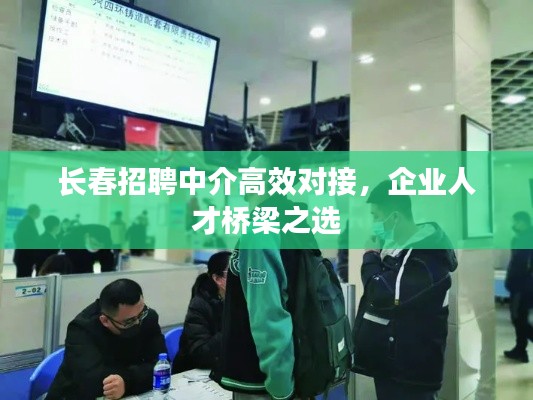 长春招聘中介高效对接，企业人才桥梁之选