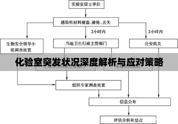 化验室突发状况深度解析与应对策略