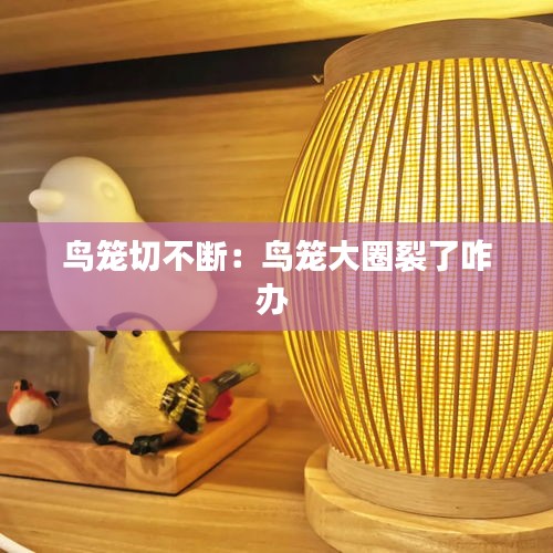 鸟笼切不断：鸟笼大圈裂了咋办 
