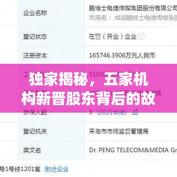 独家揭秘，五家机构新晋股东背后的故事，深度探究与解析