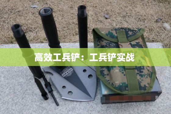 百不得一 第2页