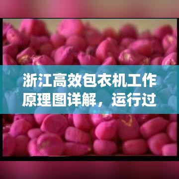浙江高效包衣机工作原理图详解，运行过程全面解析