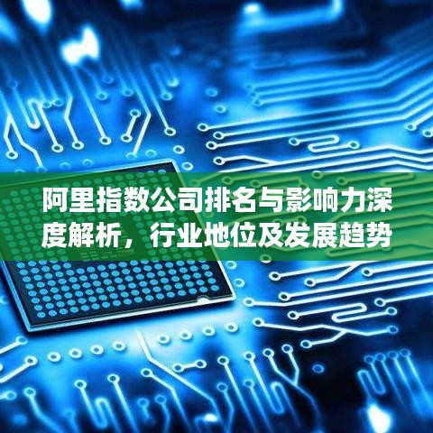阿里指数公司排名与影响力深度解析，行业地位及发展趋势揭秘